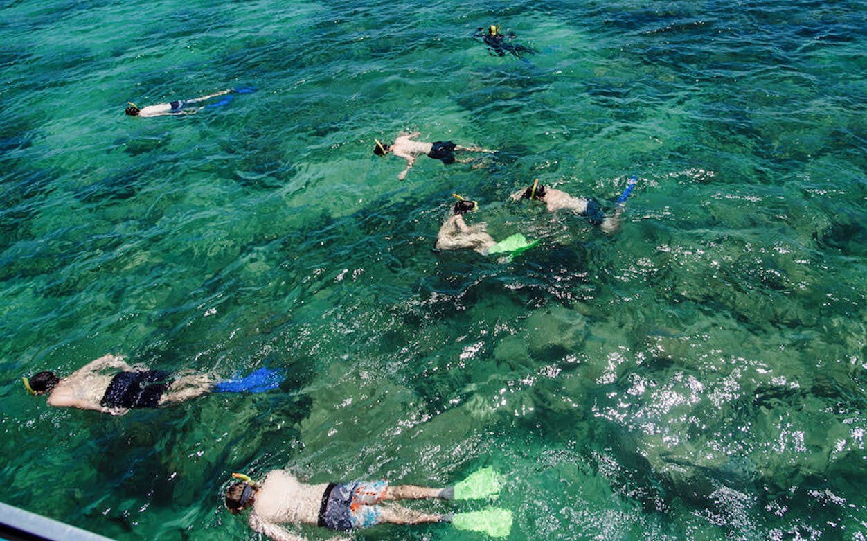 Snorkelers exploring coral reefs on Green Island Reef Catamaran Cruise.