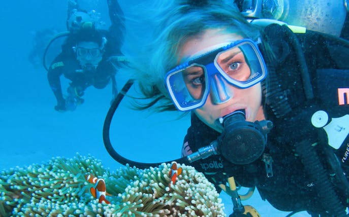 Scuba diver exploring coral reef with clownfish, Great Barrier Reef.