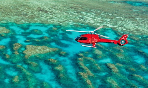 Snorkelers exploring vibrant coral reefs and marine life during Great Barrier Reef Adventure Cruise, Cairns, Australia.
