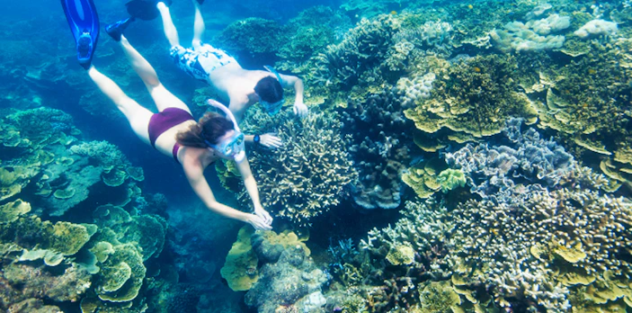Snorkelers exploring vibrant coral reefs in the Outer Great Barrier Reef.