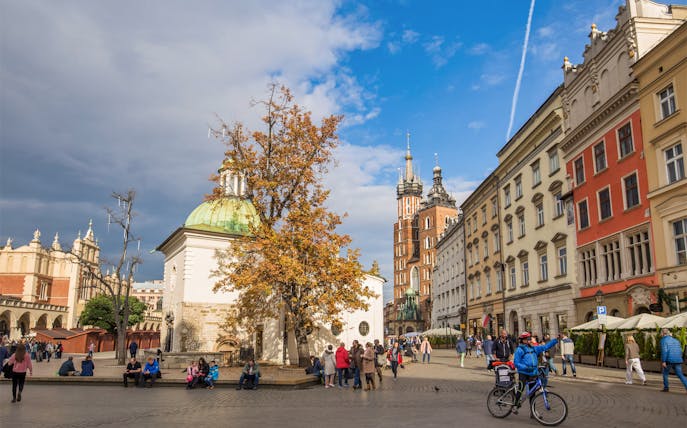 Cyclist in Krakow's Main Square with St. Mary's Basilica in the background.