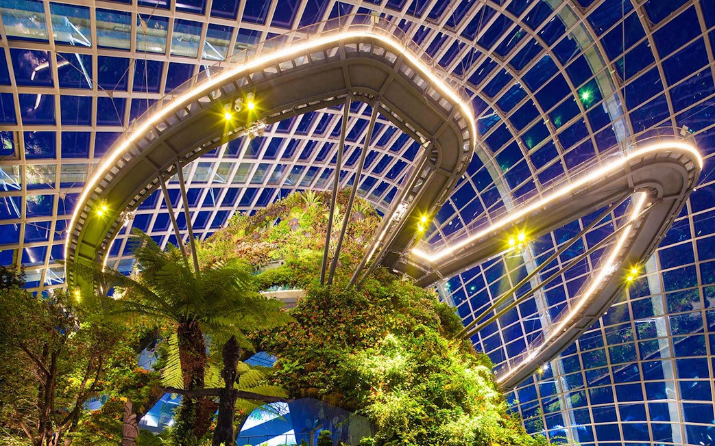 Treetop Walk at Cloud Forest, Gardens by the Bay, Singapore, with lush greenery and illuminated walkway.