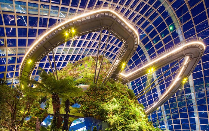 Treetop Walk at Cloud Forest, Gardens by the Bay, Singapore, with lush greenery and illuminated walkway.