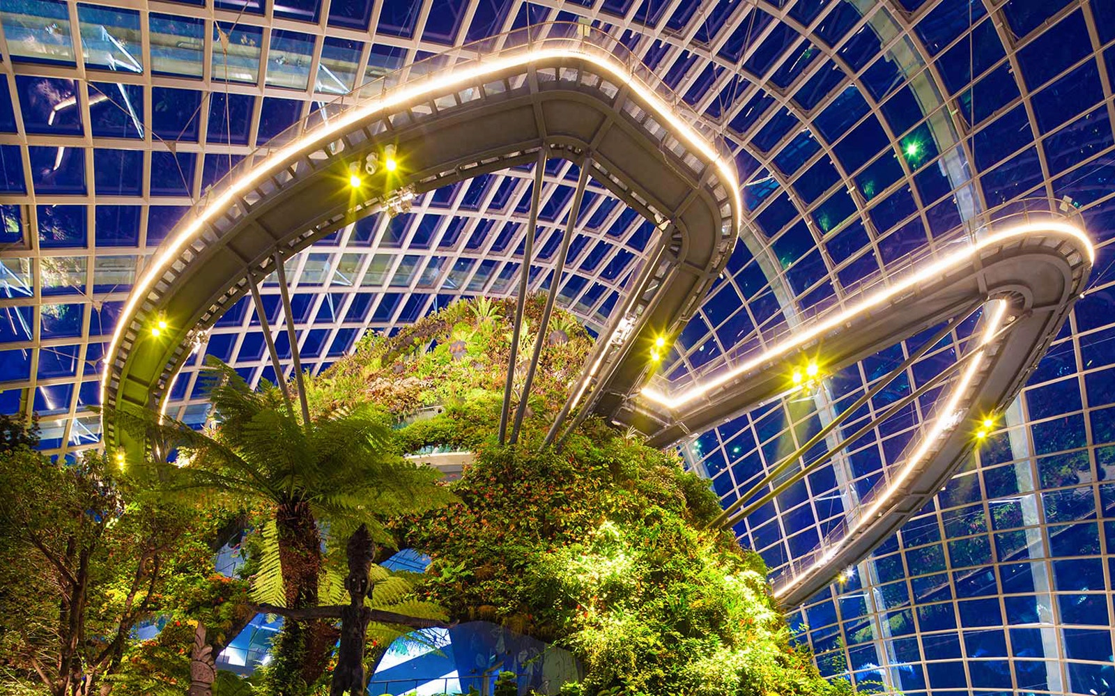 Treetop Walk at Cloud Forest, Gardens by the Bay, Singapore, with lush greenery and illuminated walkway.