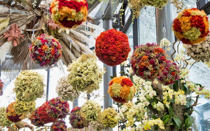 Hanging floral arrangements at Gardens by the Bay Cloud Forest, Singapore.