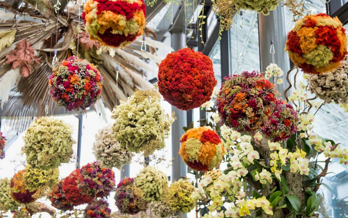 combo (bespaar 10%): gardens by the bay - cloud forest ft. avatar + flower dome + floral fantasy-3 combo (bespaar 10%): gardens by the bay - cloud forest ft. avatar + flower dome + floral fantasy-3