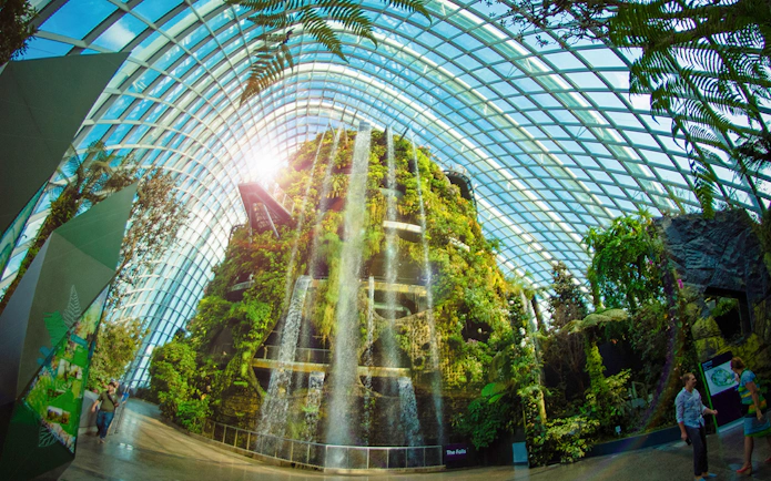 Indoor waterfall and lush greenery at Cloud Forest, Gardens by the Bay, Singapore.