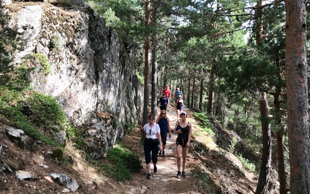 Hikers walking along a forest trail in Guadarrama National Park, Madrid.
