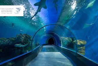 Dubai Aquarium And Zoo Tickets Insider Information Tips And More