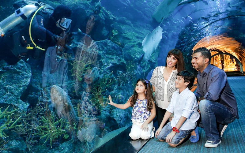 Combo (Save 33%): Dubai Aquarium & Underwater Zoo + Aquaventure Waterpark Tickets — gallery 4