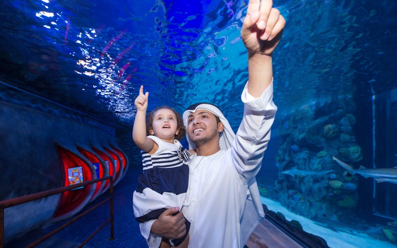Combo (Save 33%): Dubai Aquarium & Underwater Zoo + Aquaventure Waterpark Tickets — gallery 3