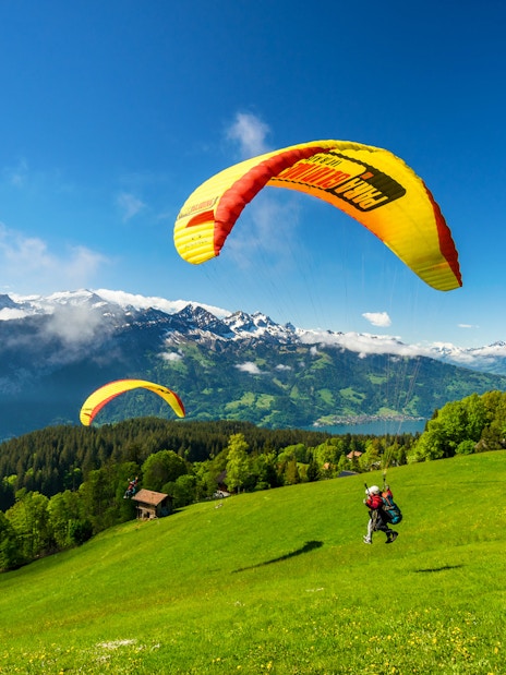 Paragliders soaring over green hills with snow-capped mountains in Interlaken, Switzerland.
