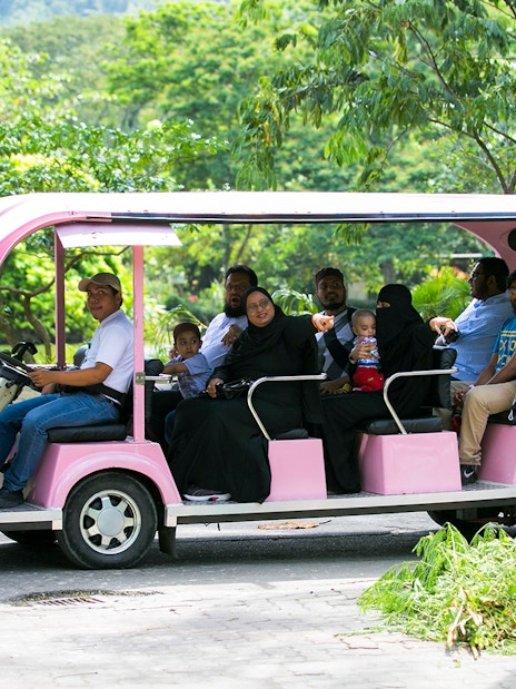 Visitors on a pink tram at Zoo Negara's Panda Conservation Centre, Malaysia.