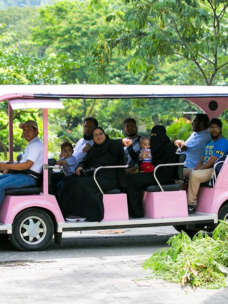 Visitors on a pink tram at Zoo Negara's Panda Conservation Centre, Malaysia.
