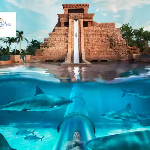 Aquaventure Waterpark