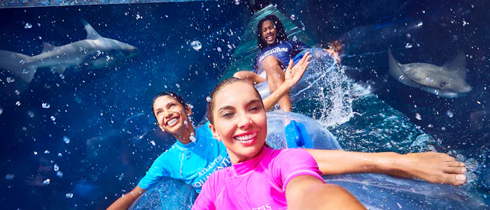 things to do in dubai with kids