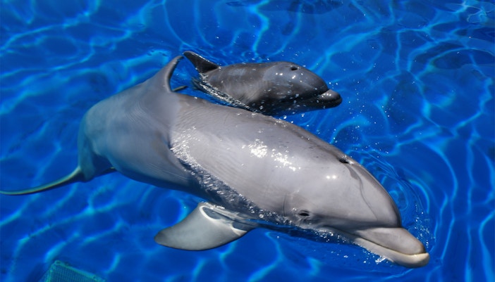 Madrid in October - Madrid Aquarium Zoo