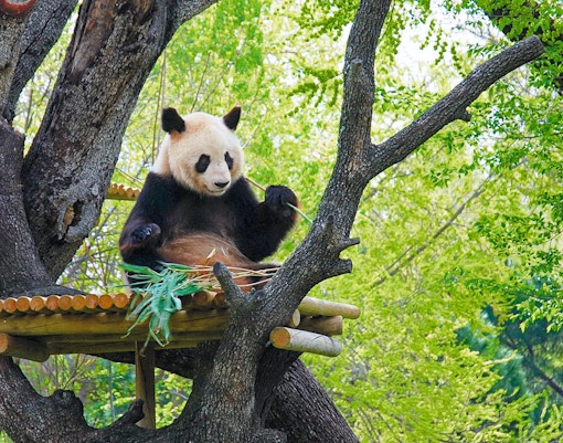 Stadtrundfahrt Madrid