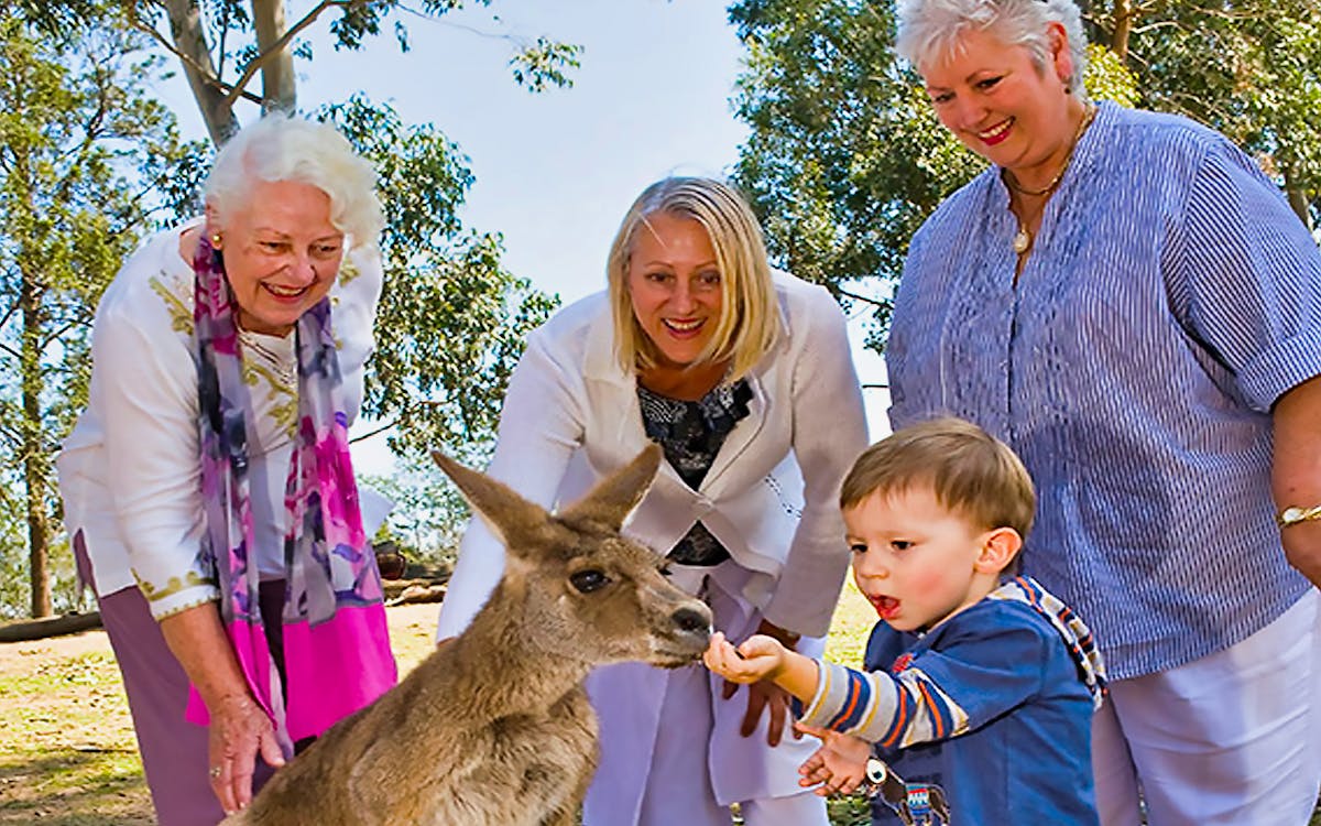 lone pine koala sanctuary entry ticket with return river cruise-4 lone pine koala sanctuary entry ticket with return river cruise-4
