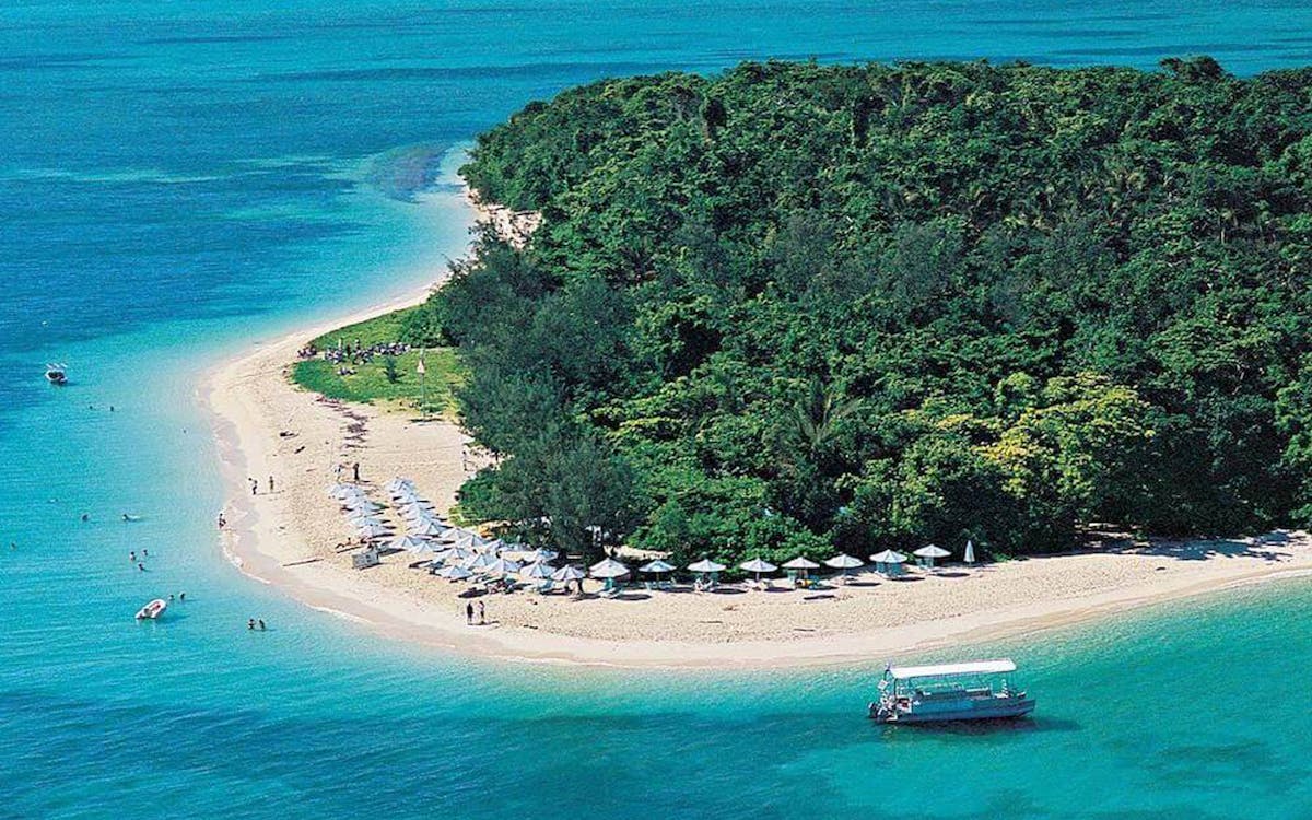 half day green island reef catamaran cruise-4 half day green island reef catamaran cruise-4