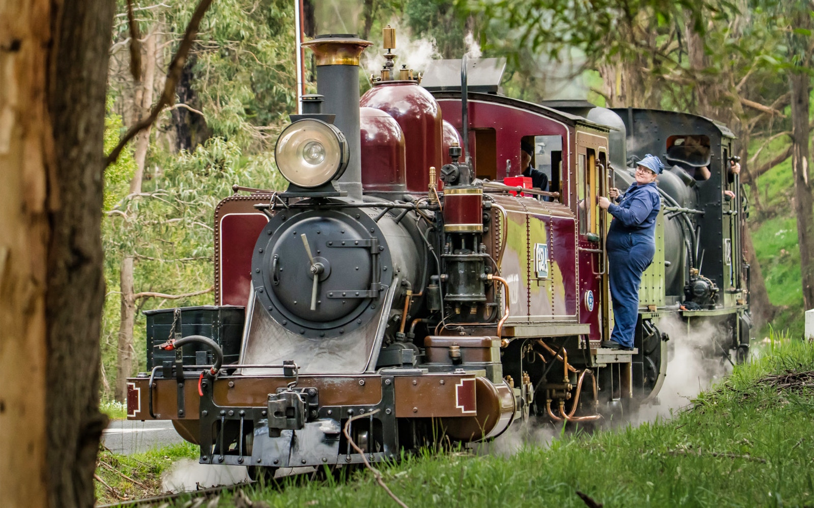 Steam locomotive on Puffing Billy Railway in lush forest setting, Melbourne, Australia.