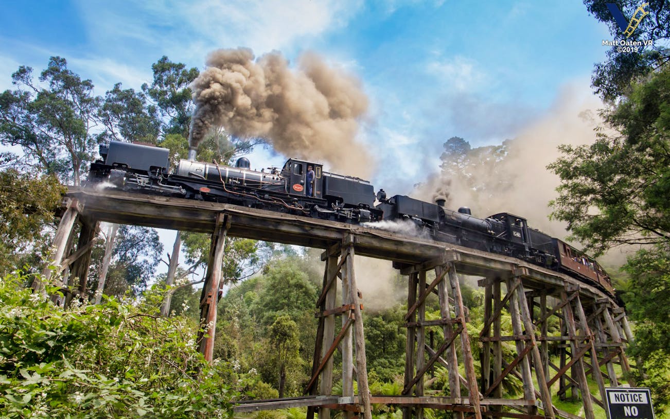 Steam train crossing a trestle bridge on Puffing Billy Railway in lush forest.