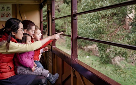 Family enjoying scenic view from Puffing Billy Railway train window.