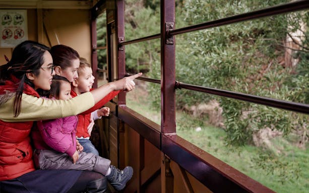 Family enjoying scenic view from Puffing Billy Railway train window.