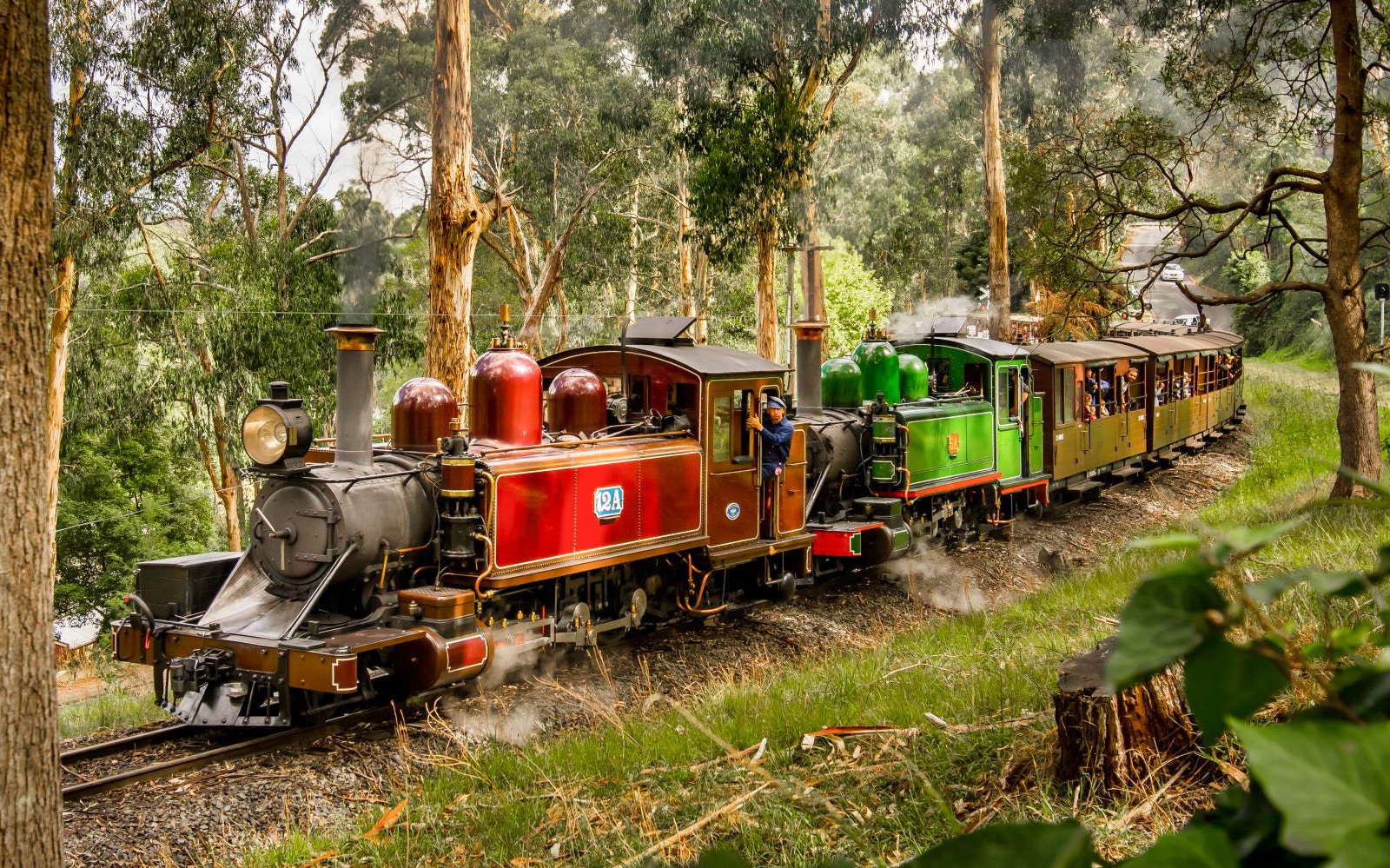 Historic steam train on Puffing Billy Railway in lush forest setting.