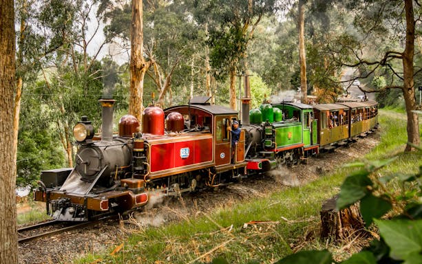 Historic steam train on Puffing Billy Railway in lush forest setting.