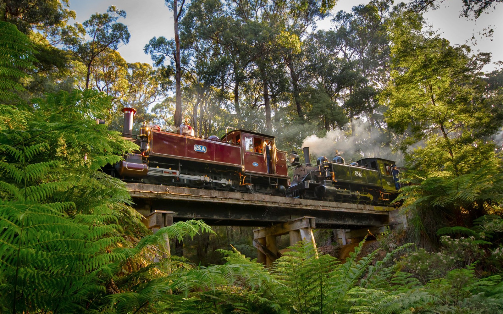 Steam train crossing a bridge in lush forest on Puffing Billy Railway, Australia.