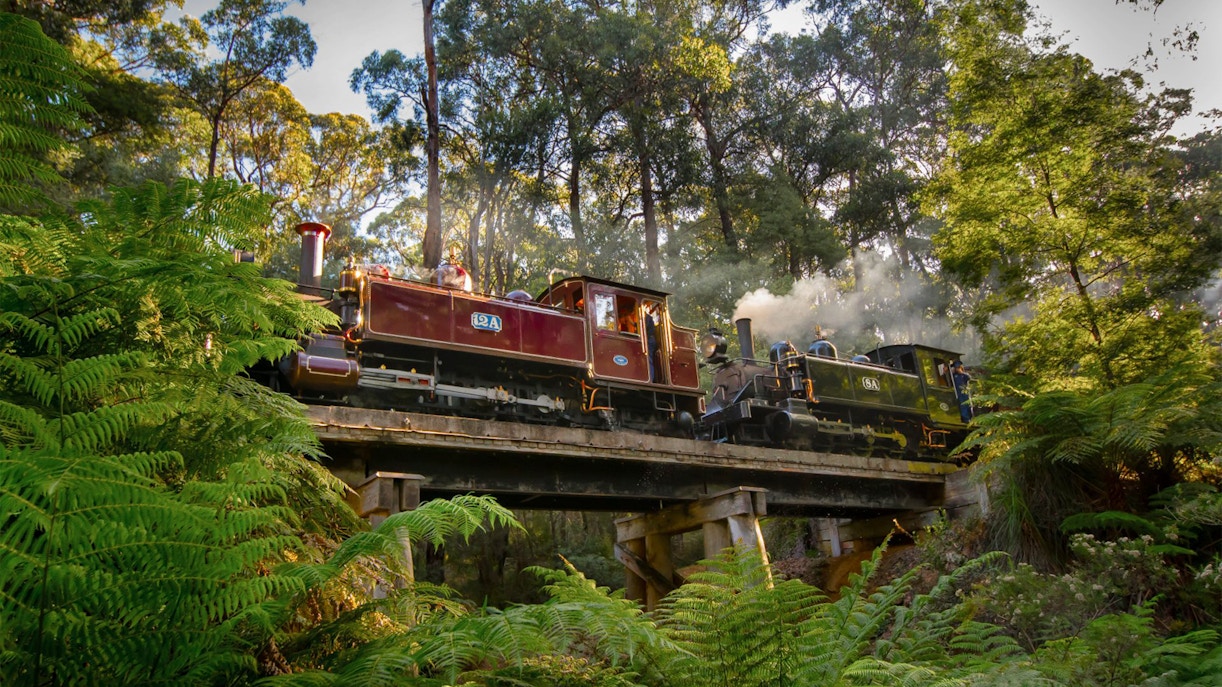 Steam train crossing a bridge in lush forest on Puffing Billy Railway, Australia.