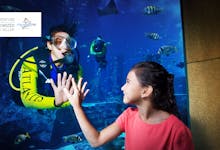 Lost Chambers Aquarium Dubai