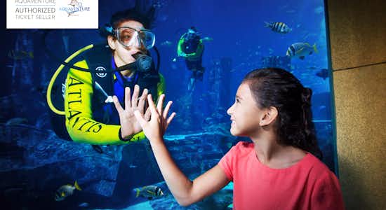 Lost Chambers Aquarium