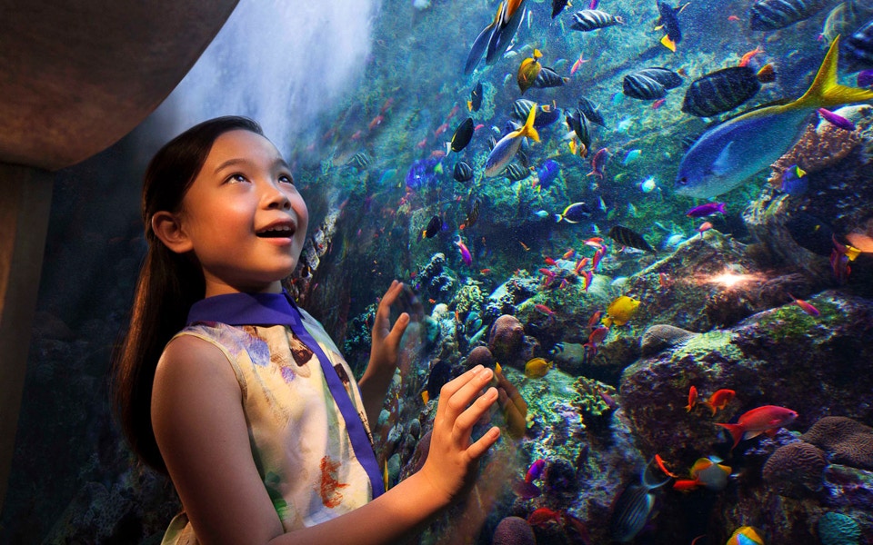 Child exploring marine life at Atlas The Lost Chambers Aquarium, Dubai.