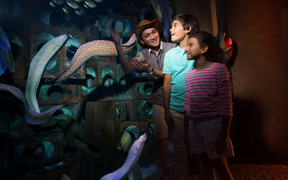 Family exploring The Lost Chambers Aquarium at IMG Worlds of Adventure, Dubai.