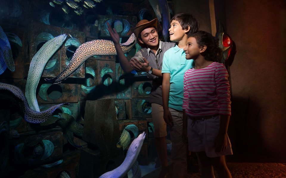 Visitors exploring marine life at The Lost Chambers Aquarium, Dubai, part of IMG Worlds of Adventure combo tour.