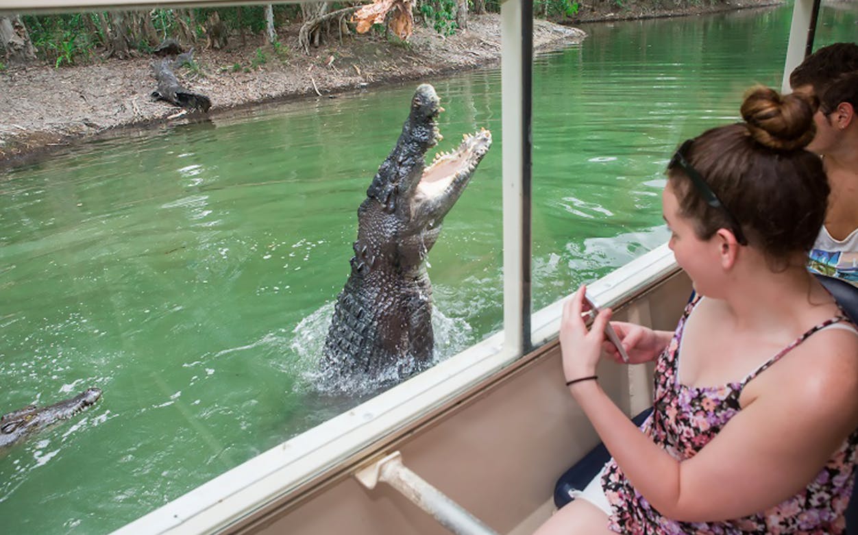 Crocodile jumping near boat at Hartley's Crocodile Adventures, Australia.
