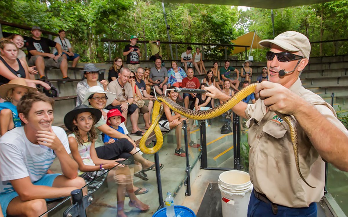 hartley's crocodile adventures half day tour from cairns-2 hartley's crocodile adventures half day tour from cairns-2