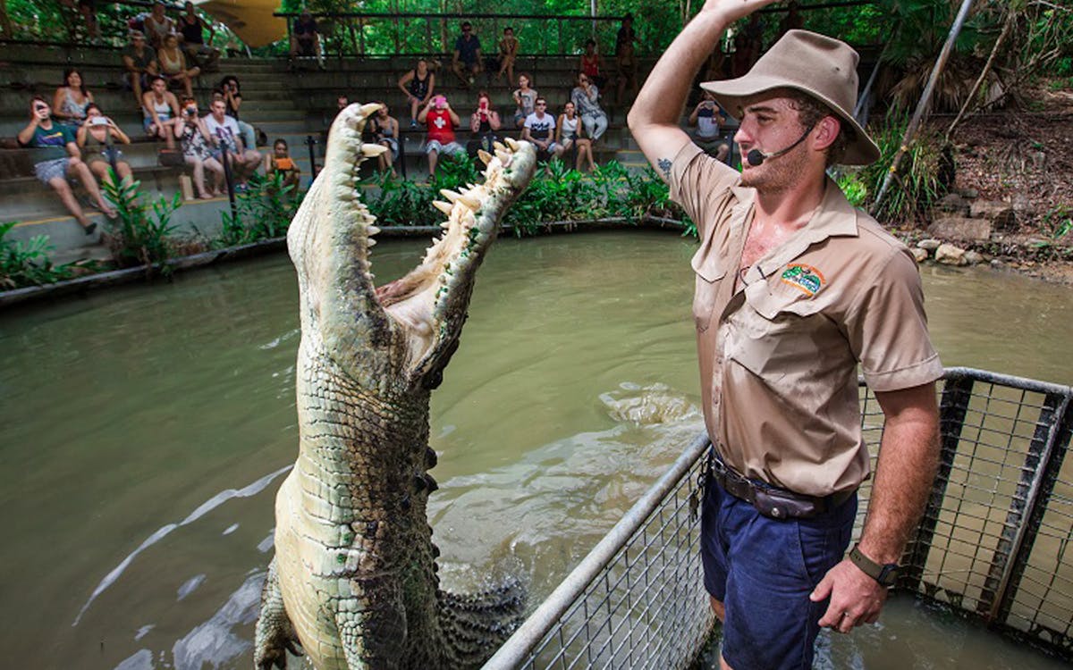 hartley's crocodile adventures half day tour from cairns-3 hartley's crocodile adventures half day tour from cairns-3