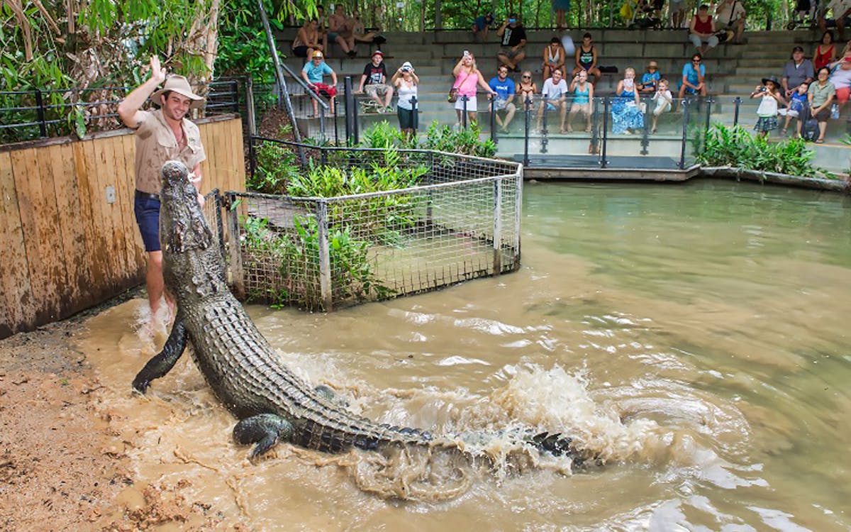hartley's crocodile adventures half day tour from cairns-5 hartley's crocodile adventures half day tour from cairns-5