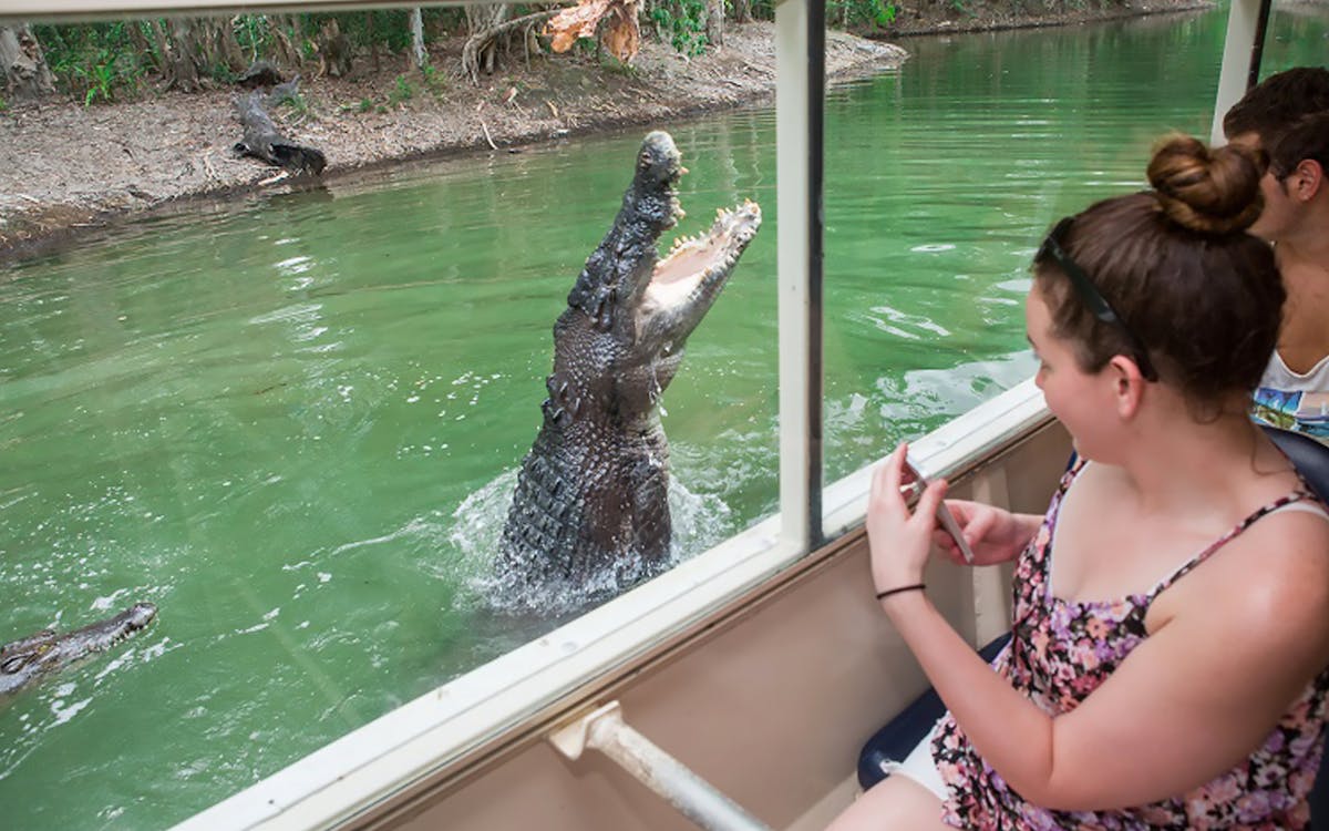 hartley's crocodile adventures half day tour from cairns-6 hartley's crocodile adventures half day tour from cairns-6