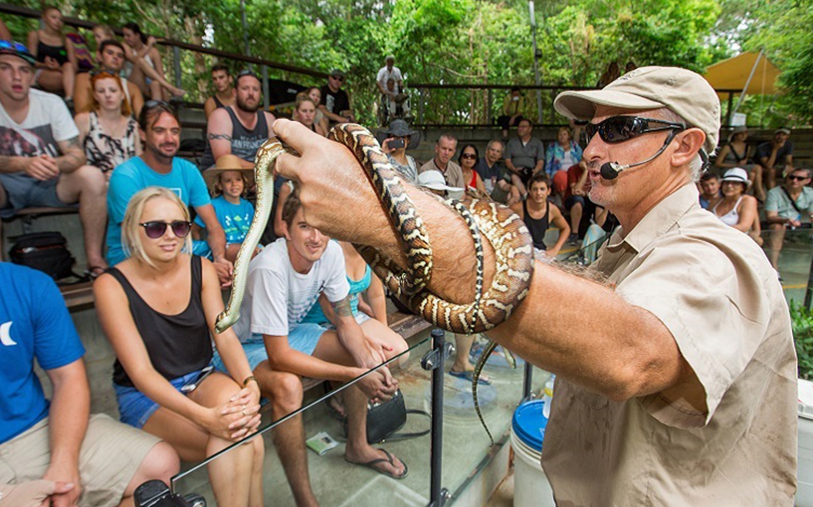 Tour guide holding a snake during a wildlife demonstration at Hartley’s Crocodile Adventures, Cairns.
