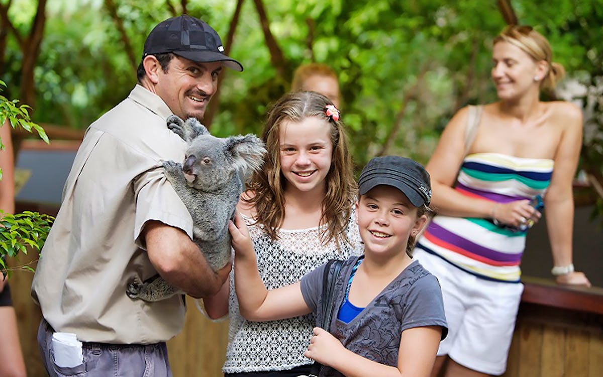hartley's crocodile adventures half day tour from cairns-4 hartley's crocodile adventures half day tour from cairns-4
