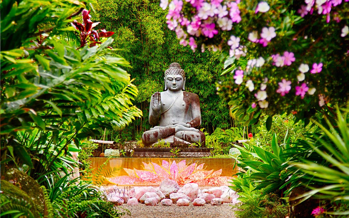 crystal castle & shambhala gardens byron bay admission ticket-7 crystal castle & shambhala gardens byron bay admission ticket-7