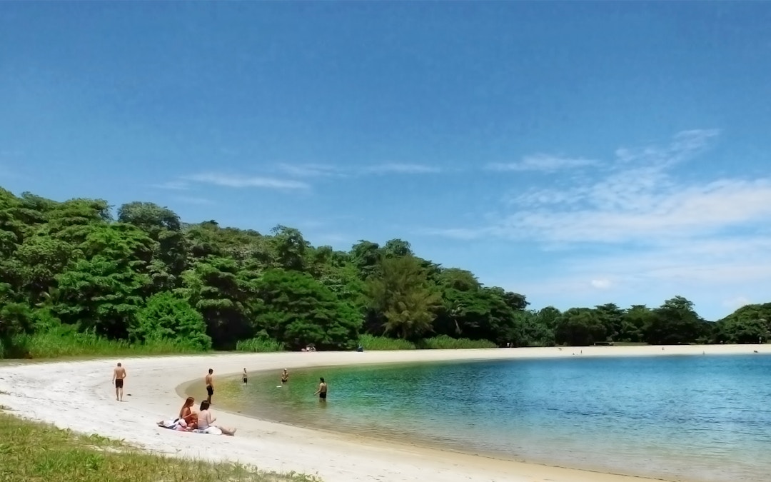 Singapore Island Cruise