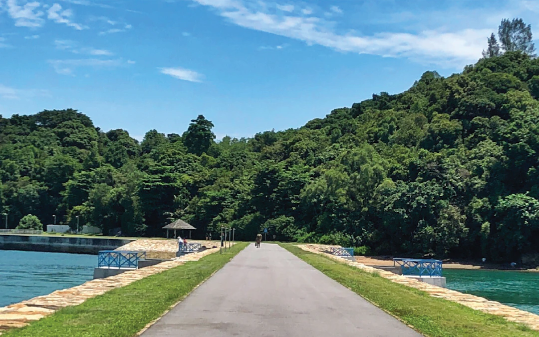 Singapore Sunset Voyage