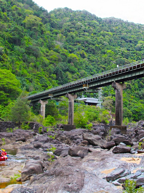 Rafting group on Barron River under a bridge surrounded by lush forest.