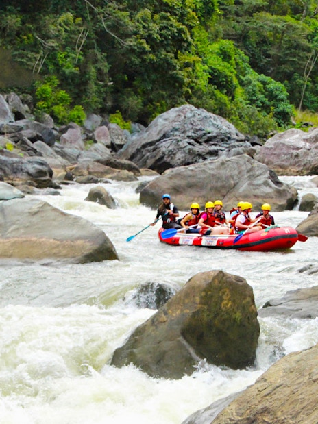 Rafting group navigating rapids on Barron River surrounded by lush forest.