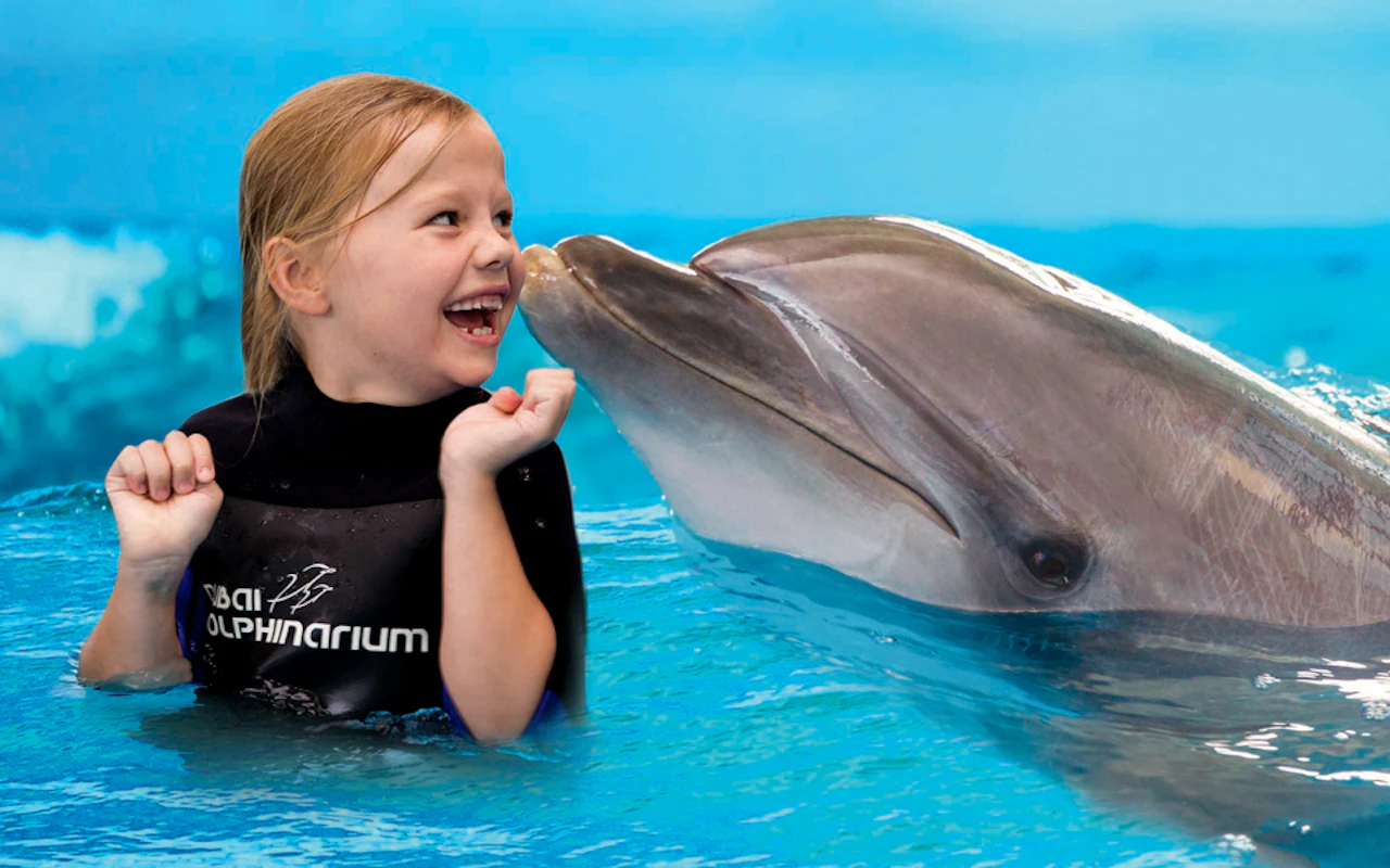 Dubai Dolphinarium: Delfin- und Robbenshow VIP-Tickets + Delfin-Begegnung